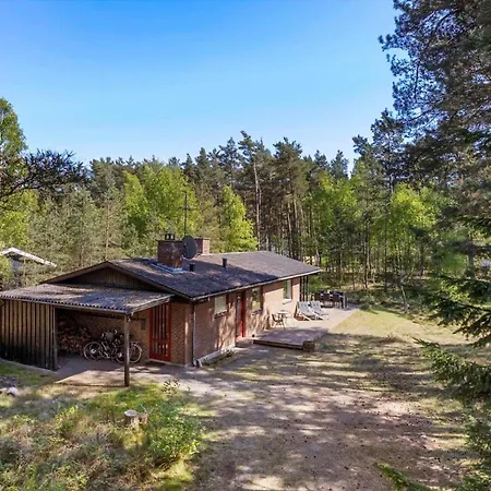 Nyaraló 1499-aakirkeby-fyrreskoven-31