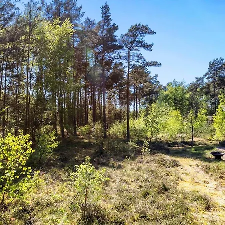 1499-aakirkeby-fyrreskoven-31 * Vester Somarken